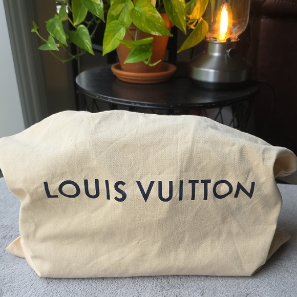 Louis Vuitton Canvas Mongram Hand Bag - Picture 14 of 14